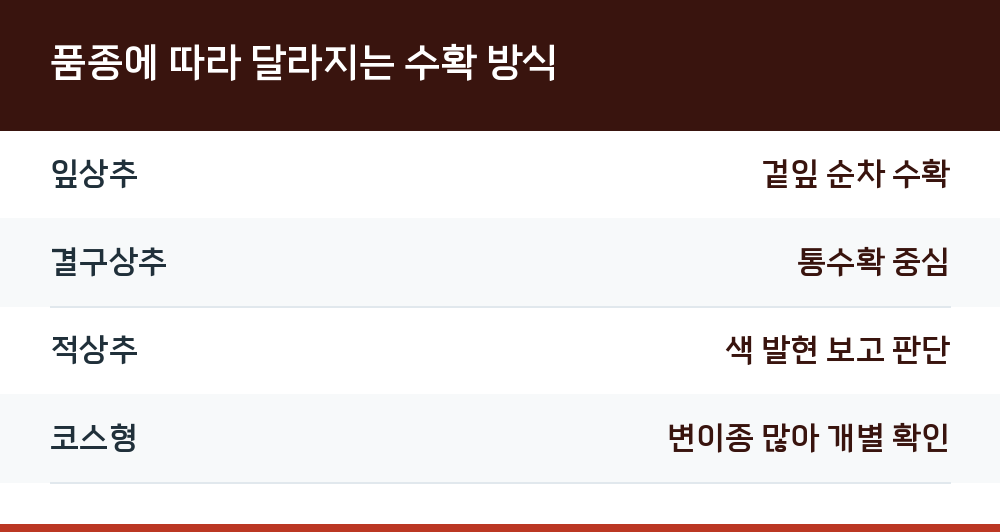 품종에 따라 달라지는 수확 방식