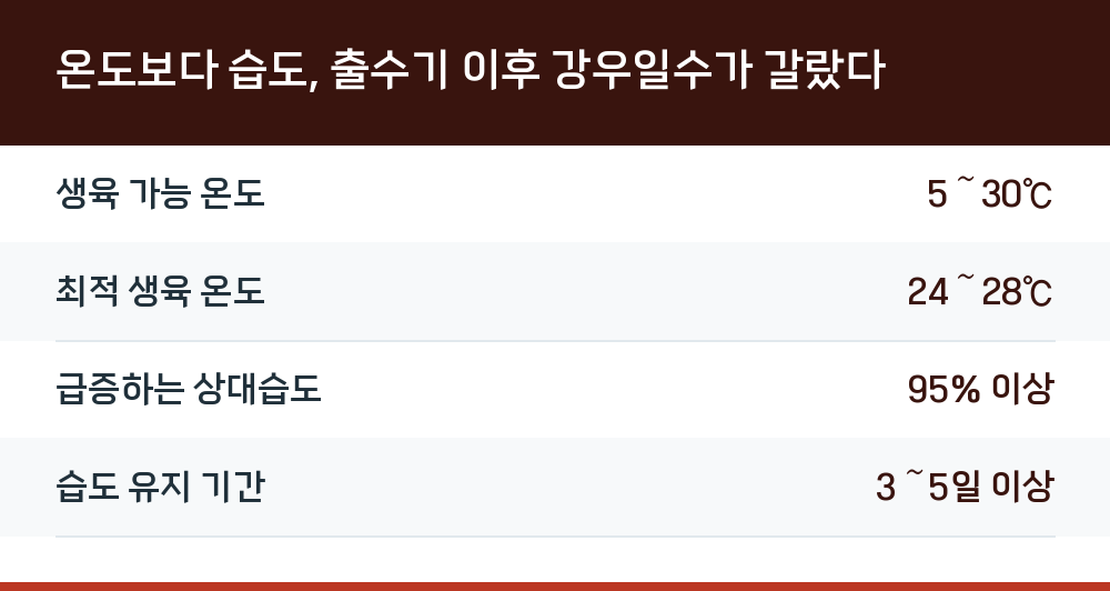 온도보다 습도, 출수기 이후 강우일수가 갈랐다