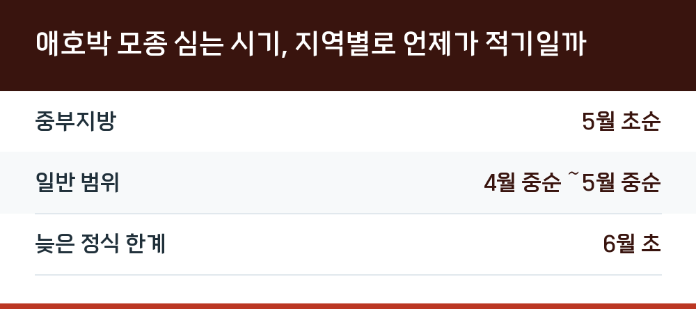 애호박 모종 심는 시기, 지역별로 언제가 적기일까