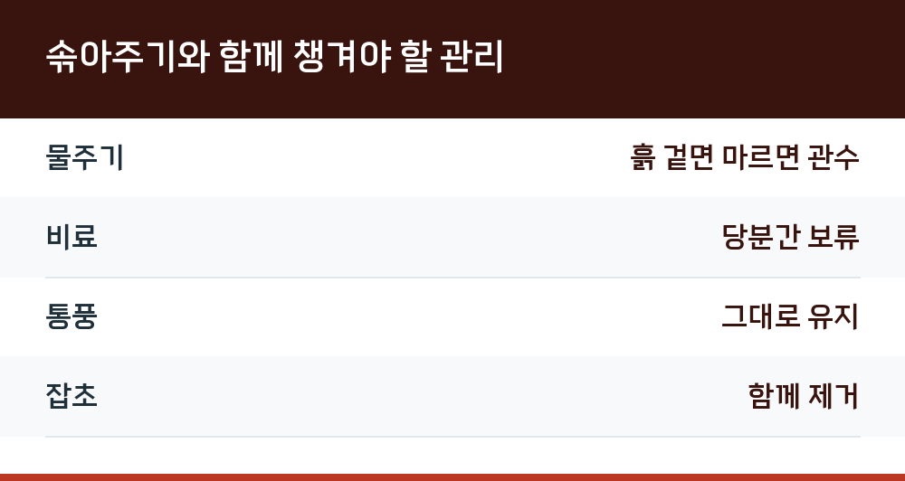 솎아주기와 함께 챙겨야 할 관리
