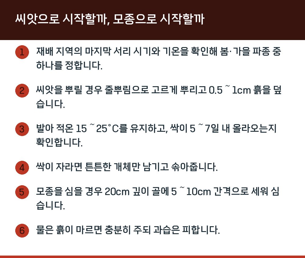 씨앗으로 시작할까, 모종으로 시작할까