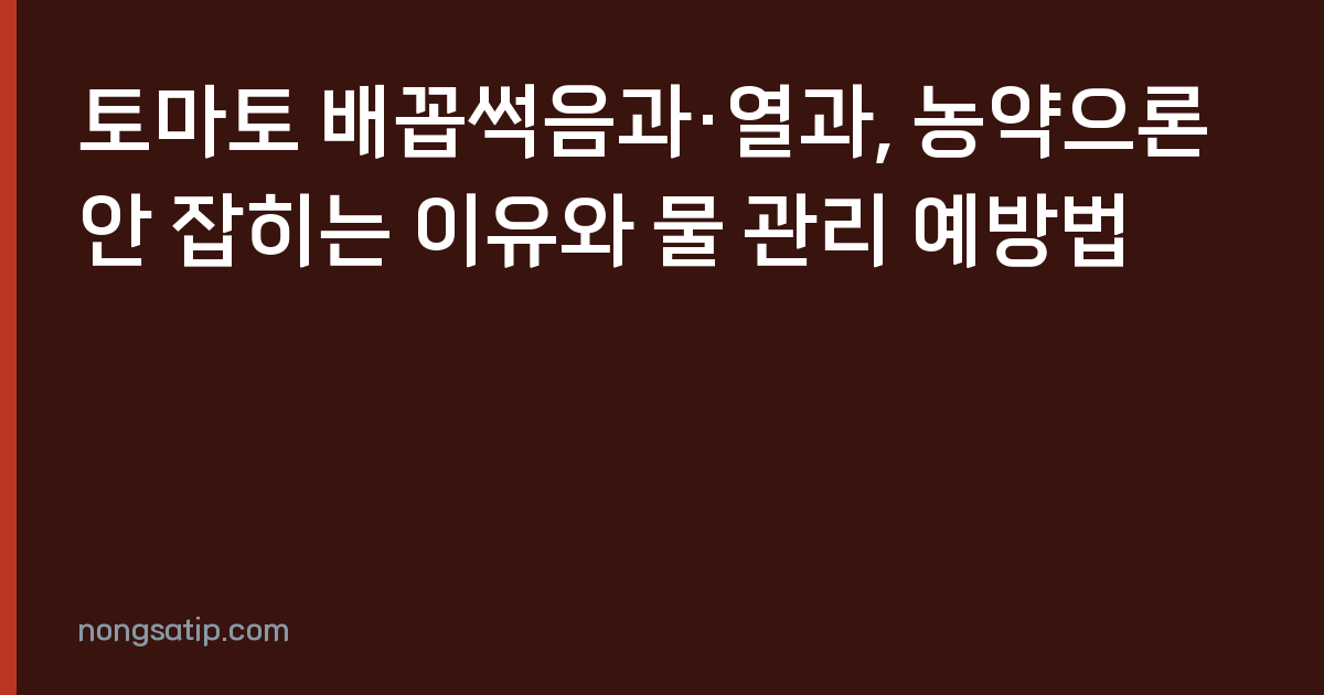 토마토 배꼽썩음과·열과, 농약으론 안 잡히는 이유와 물 관리 예방법