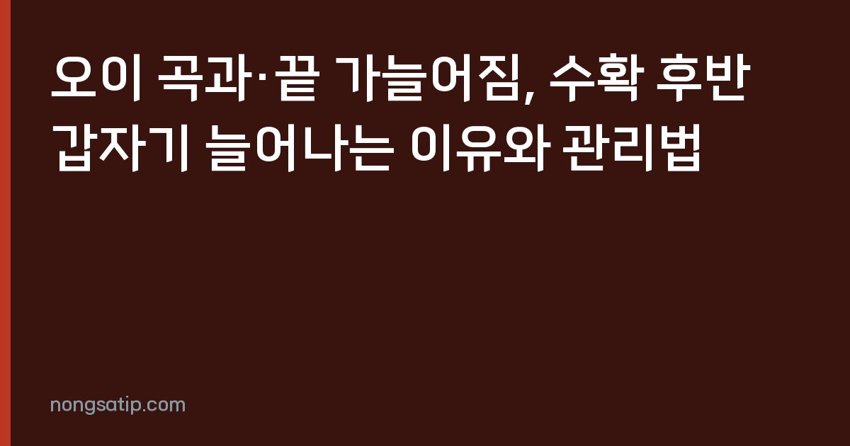 오이 곡과·끝 가늘어짐, 수확 후반 갑자기 늘어나는 이유와 관리법