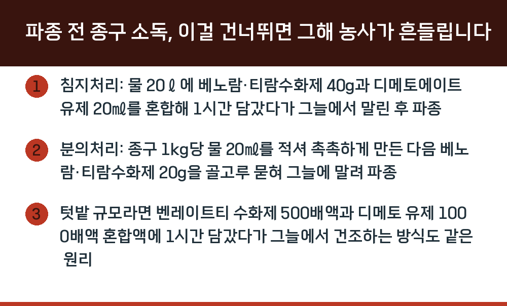 파종 전 종구 소독, 이걸 건너뛰면 그해 농사가 흔들립니다