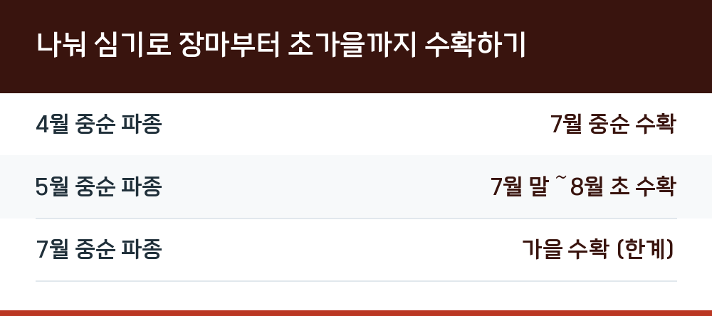 나눠 심기로 장마부터 초가을까지 수확하기