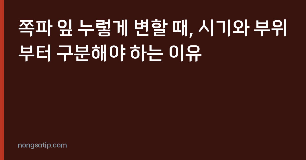 쪽파 잎 누렇게 변할 때, 시기와 부위부터 구분해야 하는 이유