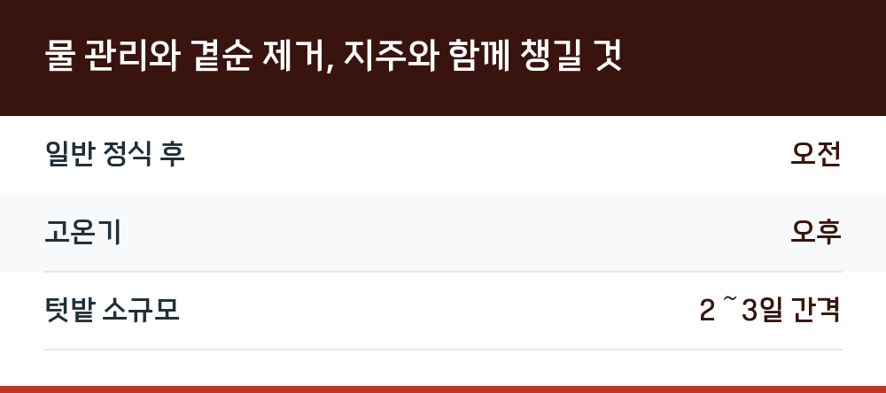 물 관리와 곁순 제거, 지주와 함께 챙길 것