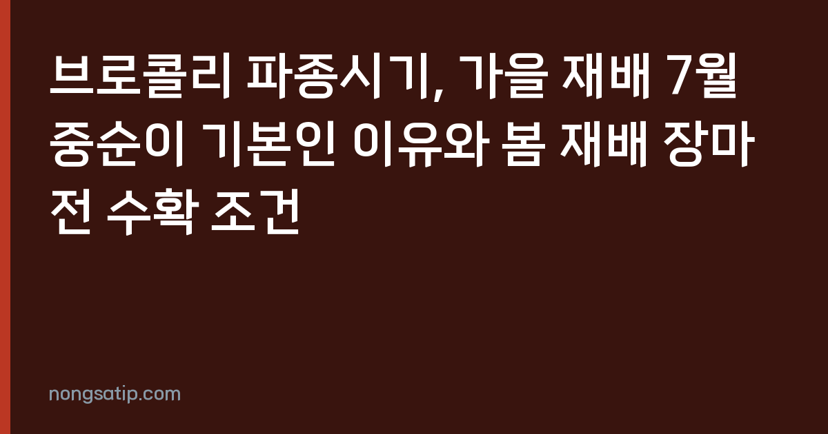 브로콜리 파종시기, 가을 재배 7월 중순이 기본인 이유와 봄 재배 장마 전 수확 조건
