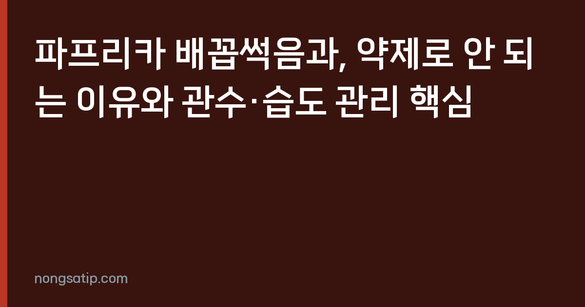 파프리카 배꼽썩음과, 약제로 안 되는 이유와 관수·습도 관리 핵심