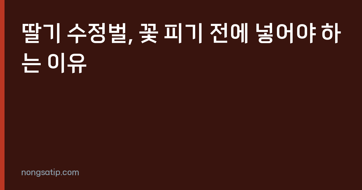 딸기 수정벌, 꽃 피기 전에 넣어야 하는 이유
