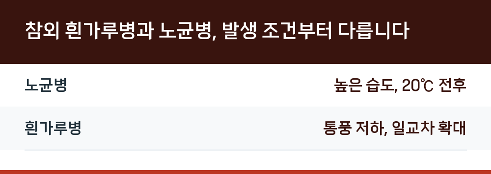참외 흰가루병과 노균병, 발생 조건부터 다릅니다