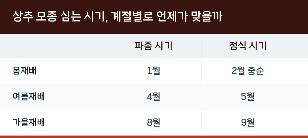 상추 모종 심는 시기, 계절별로 언제가 맞을까