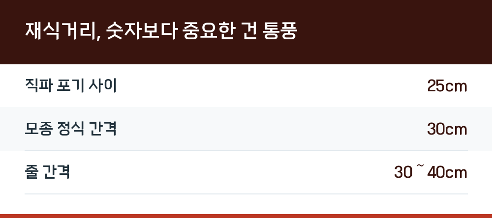 재식거리, 숫자보다 중요한 건 통풍