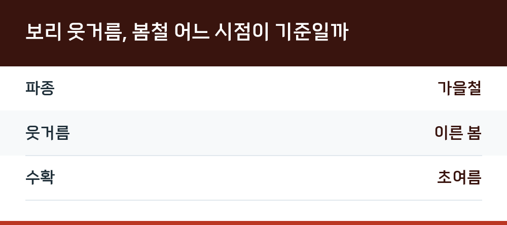 보리 웃거름, 봄철 어느 시점이 기준일까