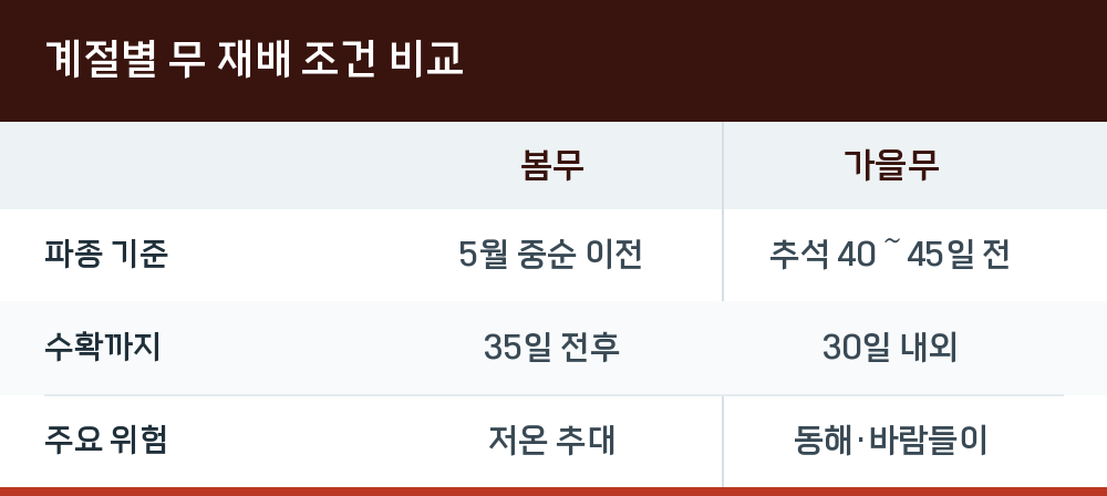 계절별 무 재배 조건 비교