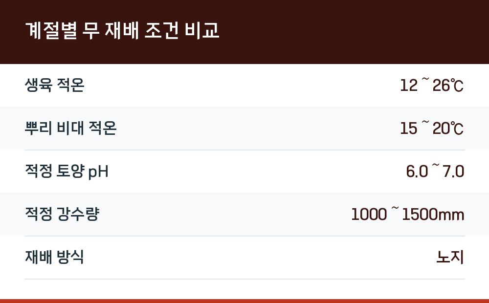 계절별 무 재배 조건 비교