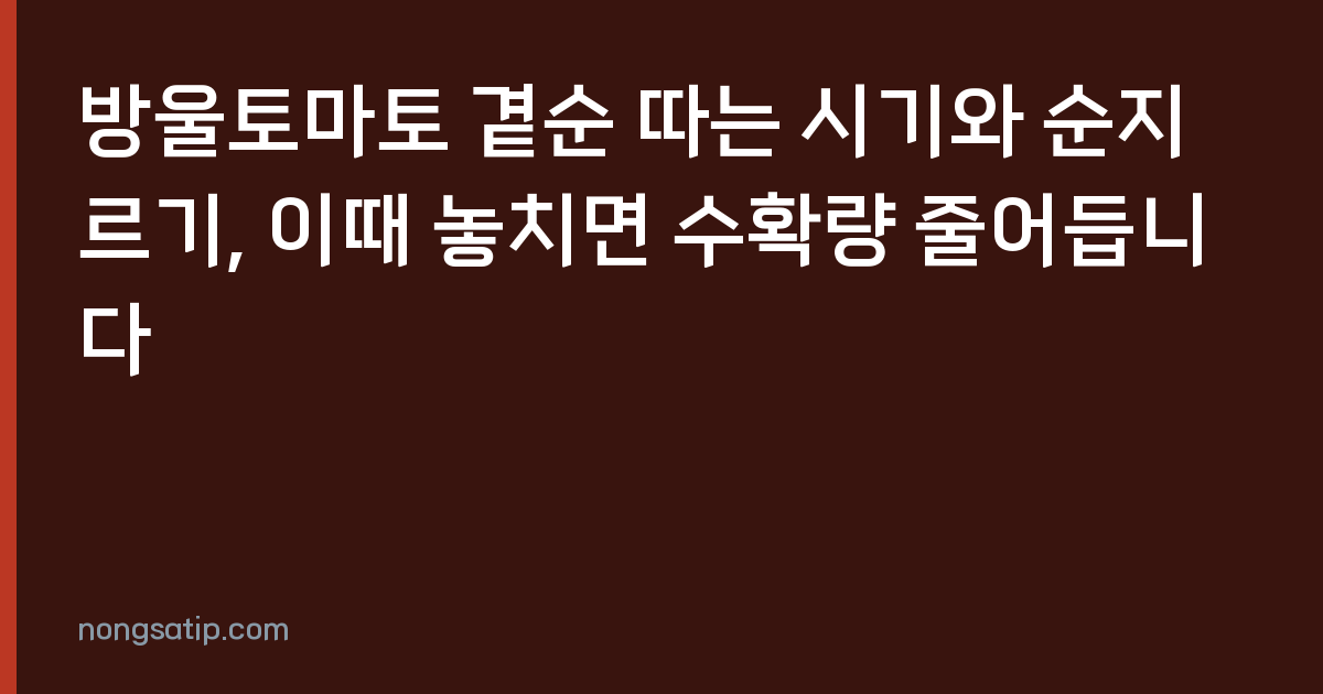 방울토마토 곁순 따는 시기와 순지르기, 이때 놓치면 수확량 줄어듭니다