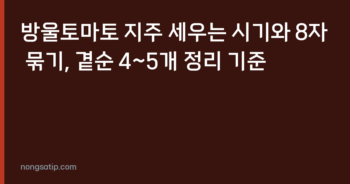 방울토마토 지주 세우는 시기와 8자 묶기, 곁순 4~5개 정리 기준