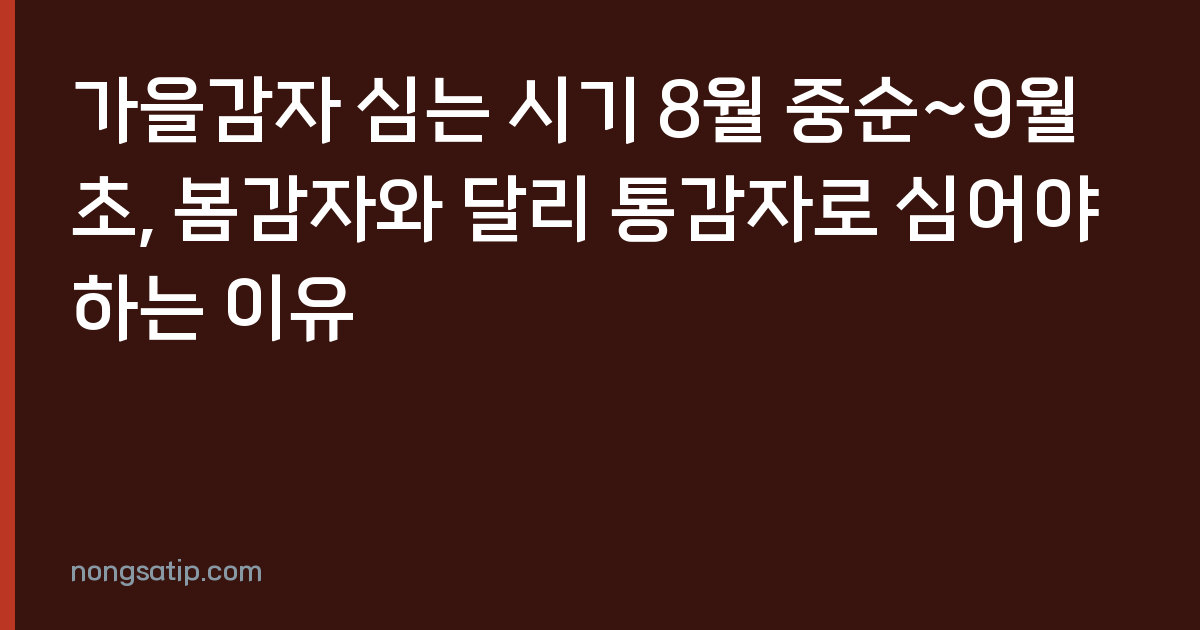 가을감자 심는 시기 8월 중순~9월 초, 봄감자와 달리 통감자로 심어야 하는 이유