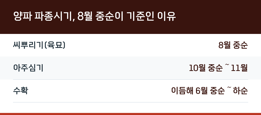 양파 파종시기, 8월 중순이 기준인 이유