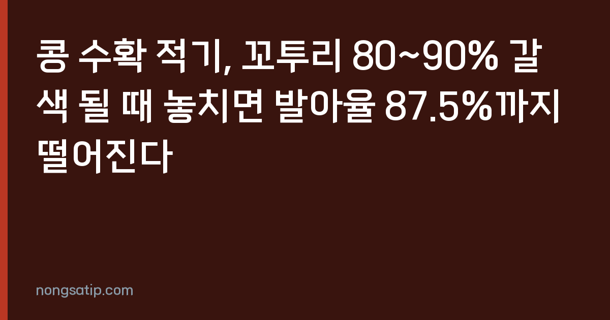 콩 수확 적기, 꼬투리 80~90% 갈색 될 때 놓치면 발아율 87.5%까지 떨어진다