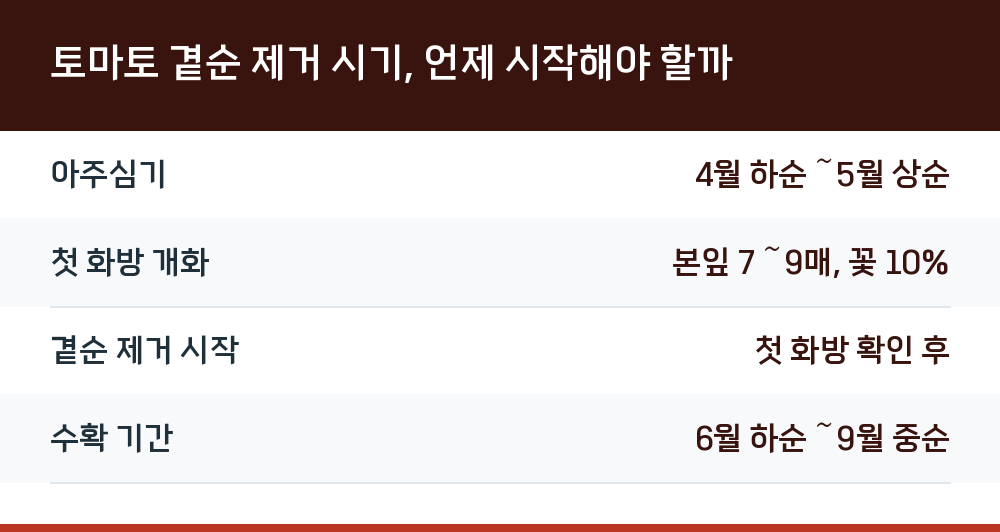 토마토 곁순 제거 시기, 언제 시작해야 할까