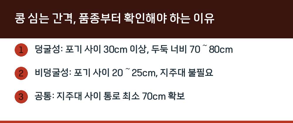 콩 심는 간격, 품종부터 확인해야 하는 이유