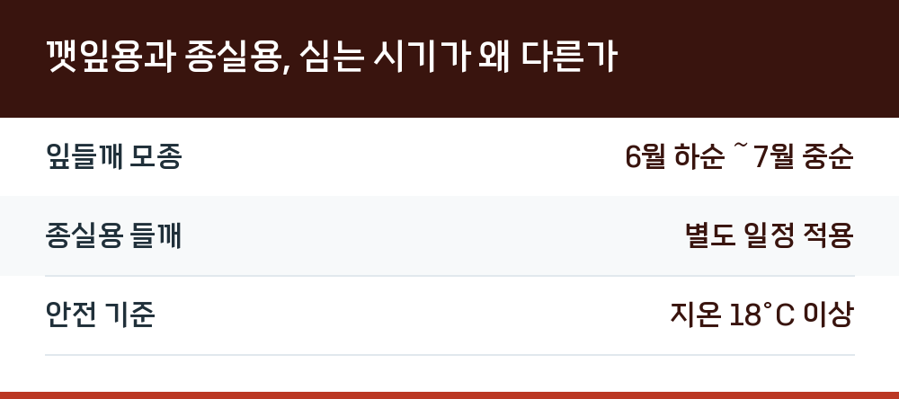 깻잎용과 종실용, 심는 시기가 왜 다른가
