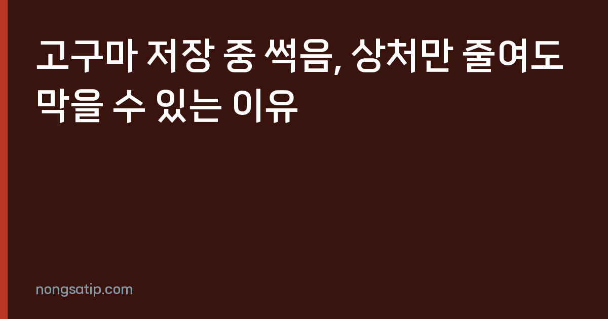 고구마 저장 중 썩음, 상처만 줄여도 막을 수 있는 이유
