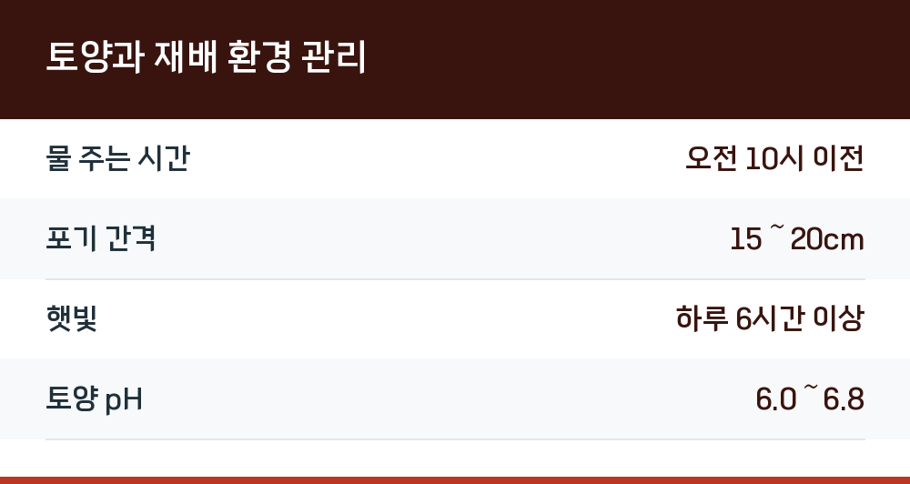 토양과 재배 환경 관리