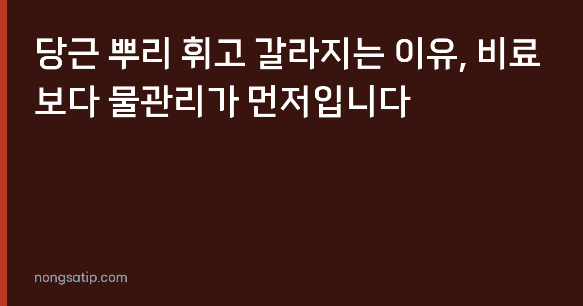 당근 뿌리 휘고 갈라지는 이유, 비료보다 물관리가 먼저입니다