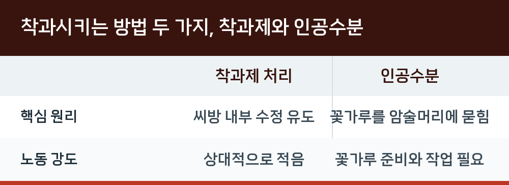 착과시키는 방법 두 가지, 착과제와 인공수분