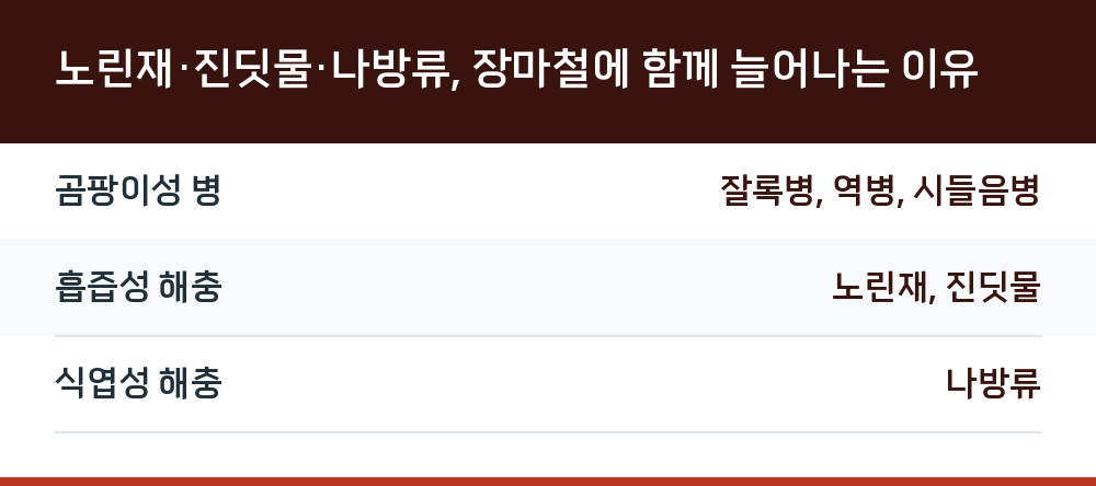 노린재·진딧물·나방류, 장마철에 함께 늘어나는 이유