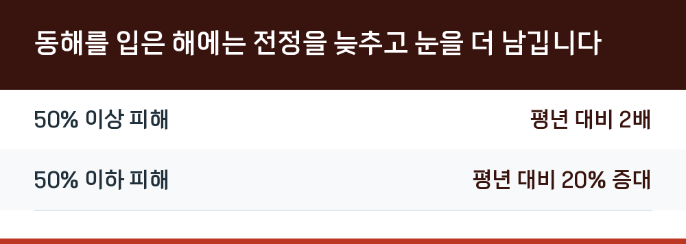 동해를 입은 해에는 전정을 늦추고 눈을 더 남깁니다