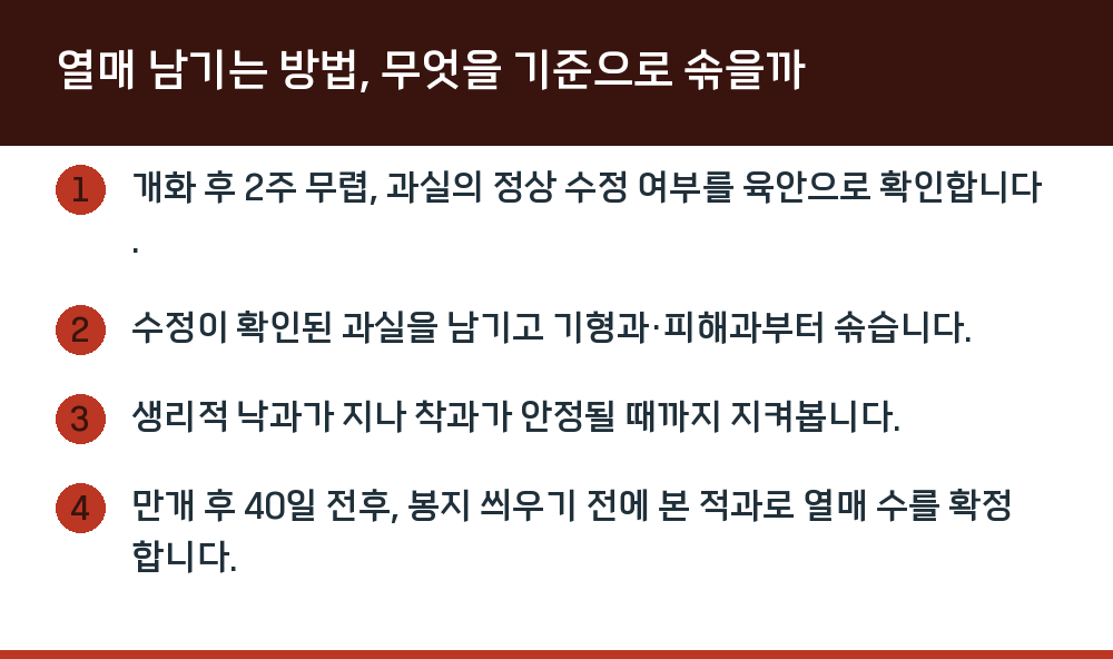 열매 남기는 방법, 무엇을 기준으로 솎을까