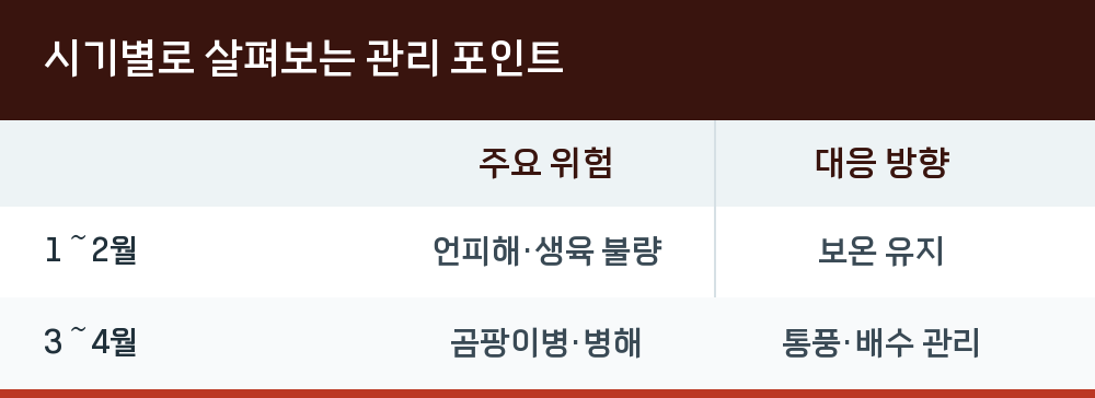시기별로 살펴보는 관리 포인트
