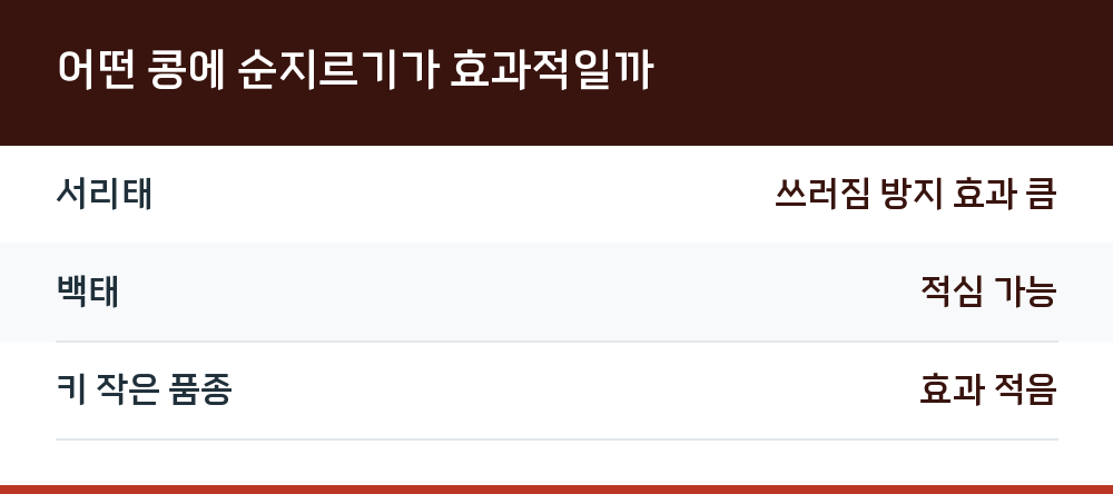 어떤 콩에 순지르기가 효과적일까
