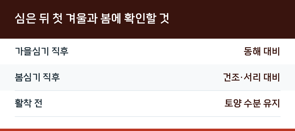 심은 뒤 첫 겨울과 봄에 확인할 것
