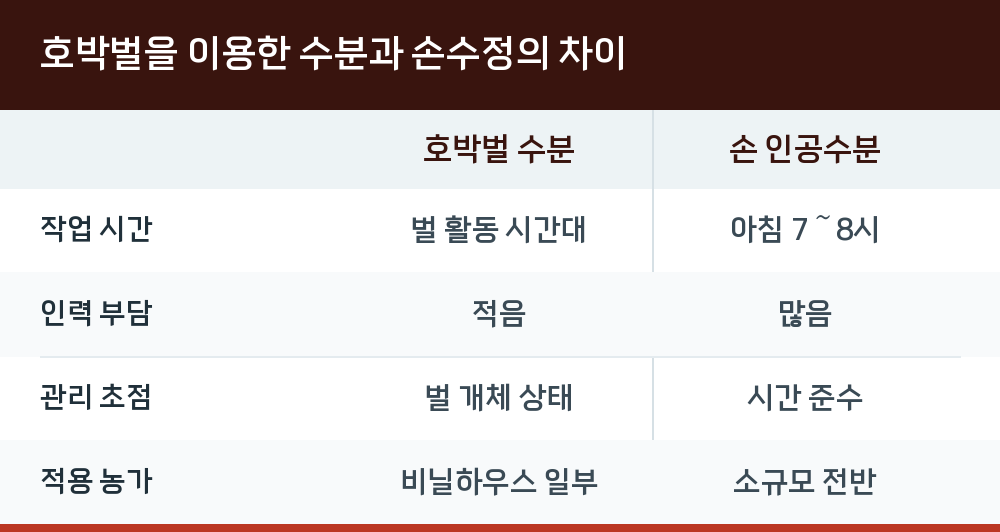 호박벌을 이용한 수분과 손수정의 차이