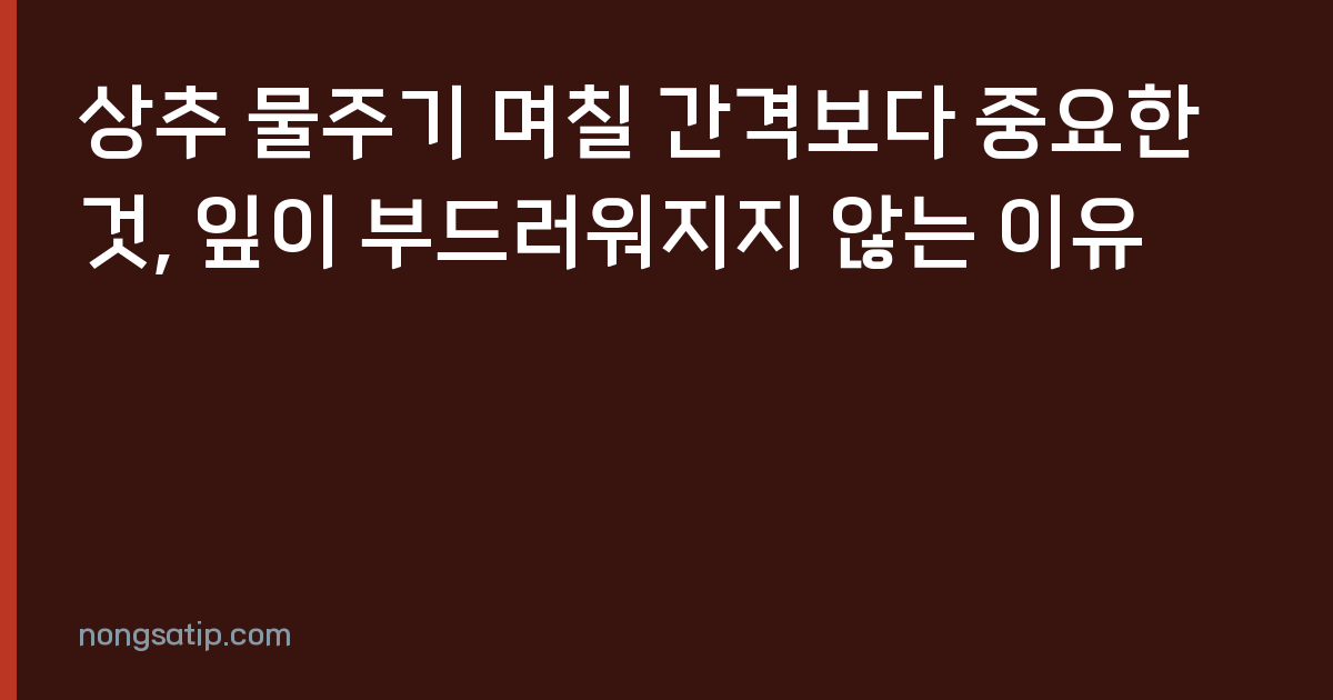 상추 물주기 며칠 간격보다 중요한 것, 잎이 부드러워지지 않는 이유