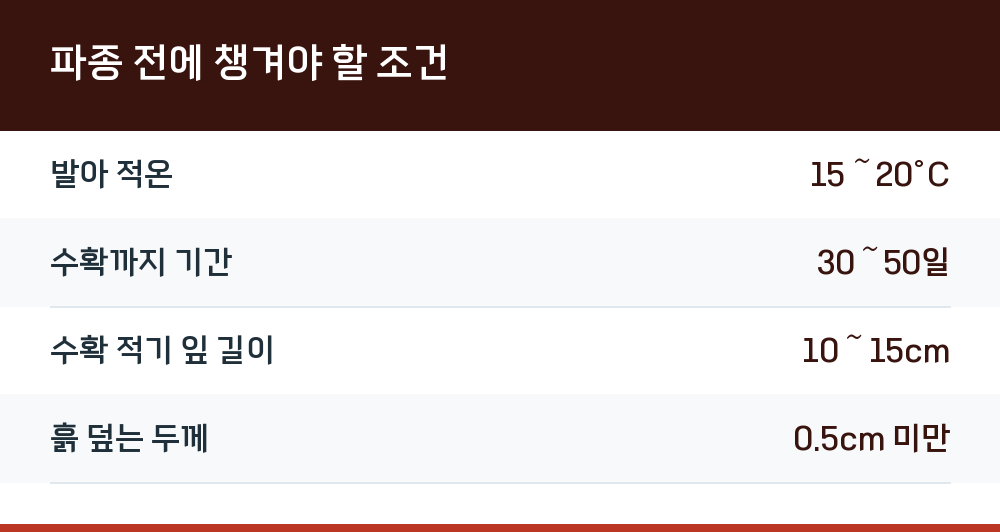 파종 전에 챙겨야 할 조건