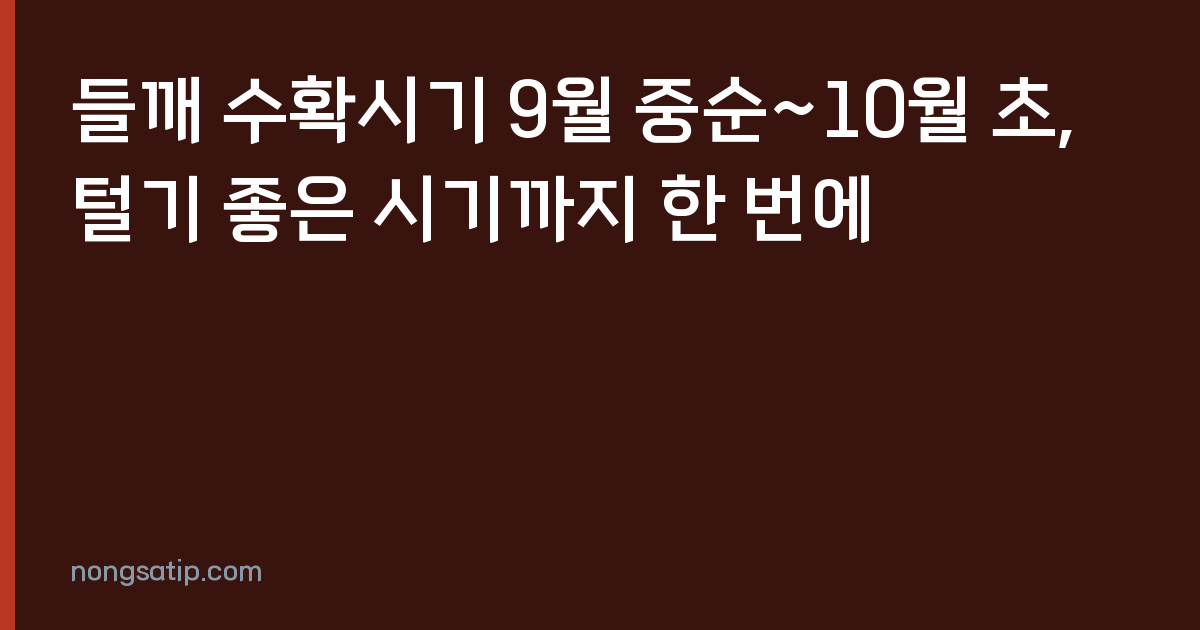 들깨 수확시기 9월 중순~10월 초, 털기 좋은 시기까지 한 번에