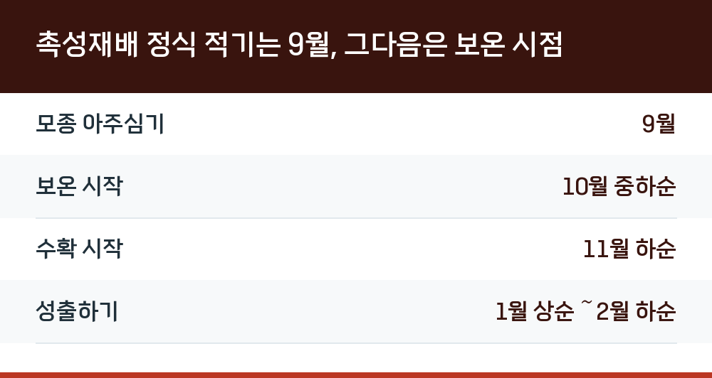 촉성재배 정식 적기는 9월, 그다음은 보온 시점