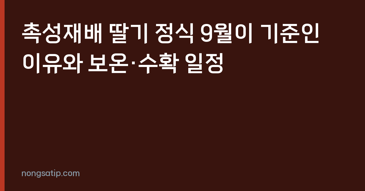 촉성재배 딸기 정식 9월이 기준인 이유와 보온·수확 일정