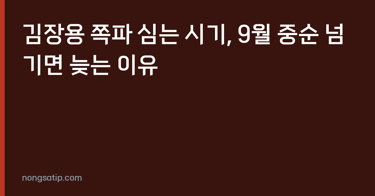 김장용 쪽파 심는 시기, 9월 중순 넘기면 늦는 이유