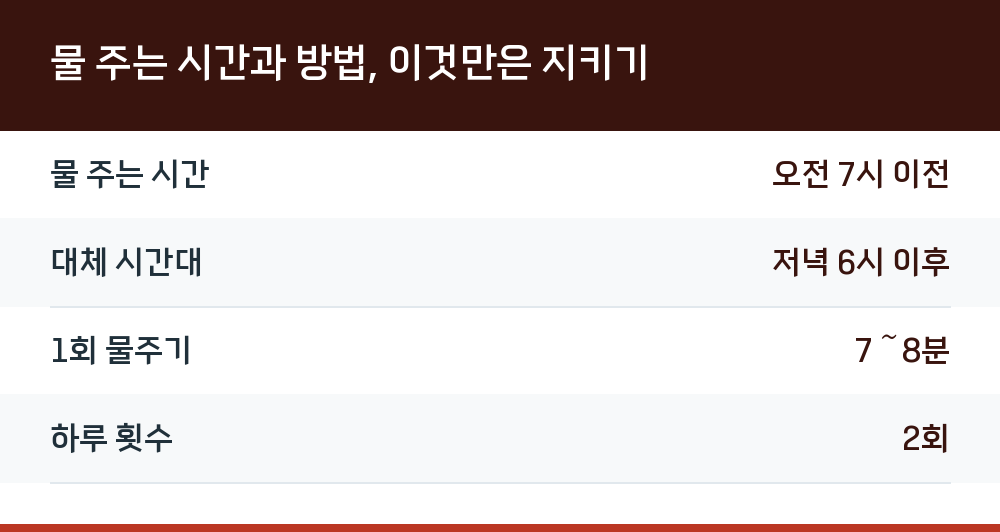 물 주는 시간과 방법, 이것만은 지키기