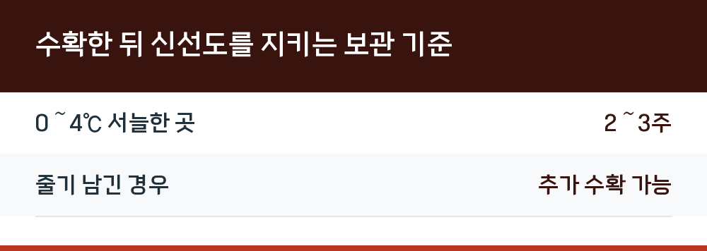 수확한 뒤 신선도를 지키는 보관 기준