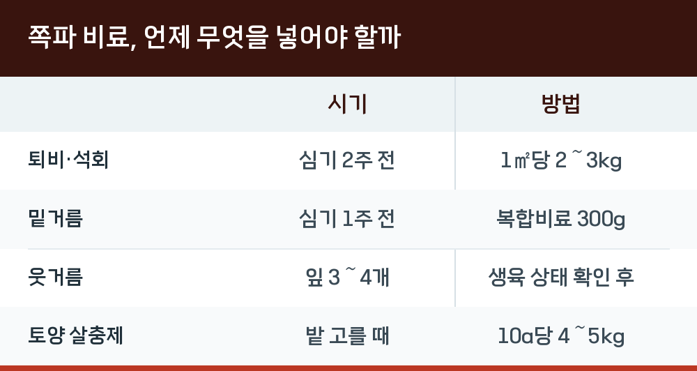 쪽파 비료, 언제 무엇을 넣어야 할까