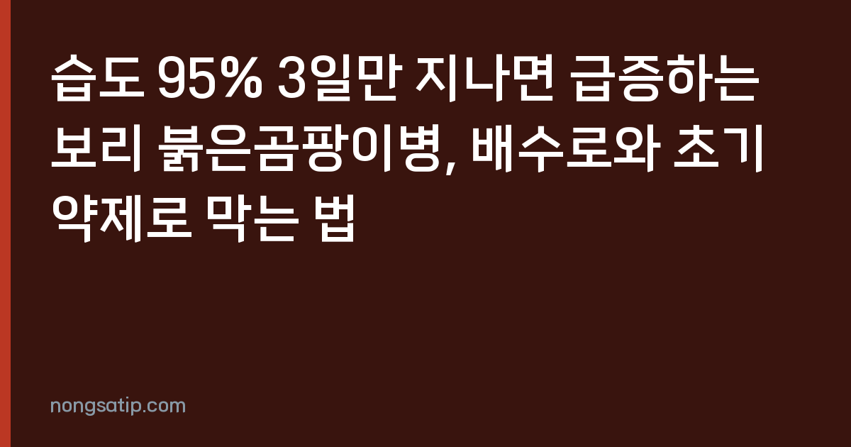 습도 95% 3일만 지나면 급증하는 보리 붉은곰팡이병, 배수로와 초기 약제로 막는 법