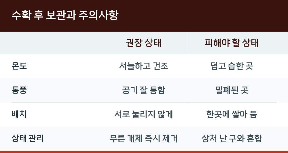 수확 후 보관과 주의사항